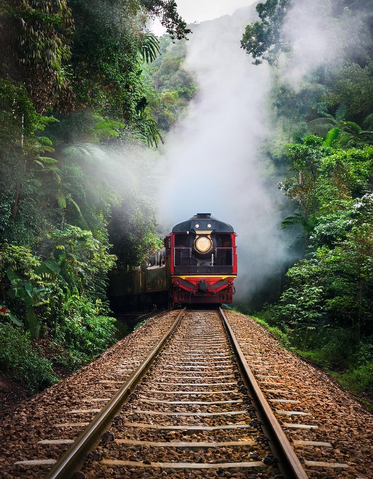 Darjeeling — a domestic journey JEJO arranges within India